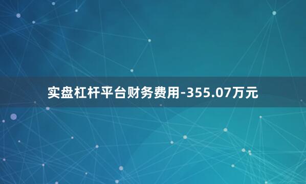 实盘杠杆平台财务费用-355.07万元