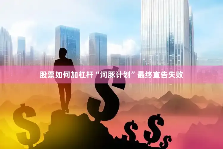 股票如何加杠杆“河豚计划”最终宣告失败