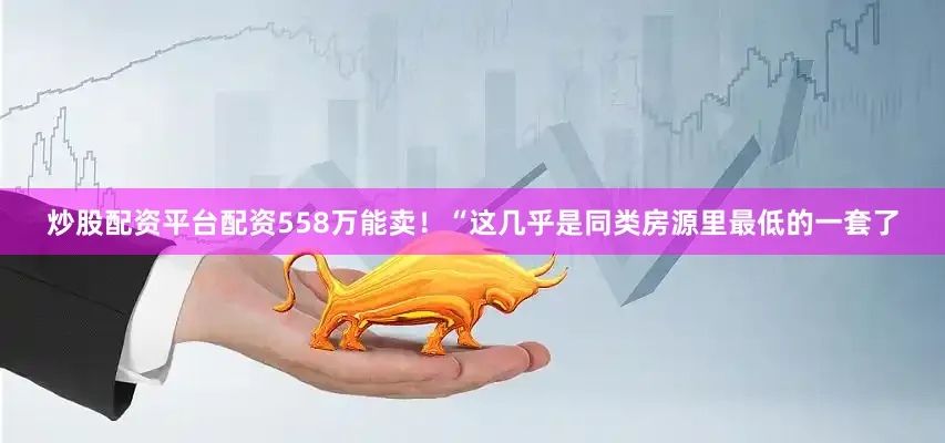 炒股配资平台配资558万能卖！“这几乎是同类房源里最低的一套了