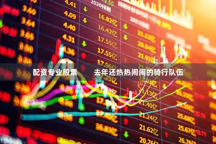 配资专业股票        去年还热热闹闹的骑行队伍