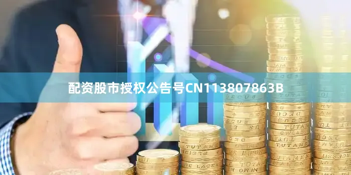 配资股市授权公告号CN113807863B